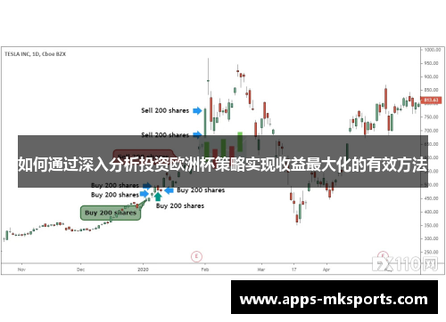 如何通过深入分析投资欧洲杯策略实现收益最大化的有效方法